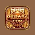 pkr656 Game logo